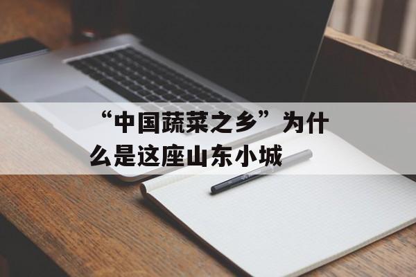 “中国蔬菜之乡”为什么是这座山东小城-第1张图片-