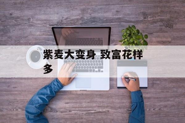 紫麦大变身 致富花样多-第1张图片-