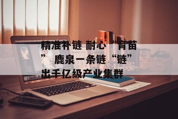 精准补链 耐心“育苗” 鹿泉一条链“链”出千亿级产业集群-第1张图片-