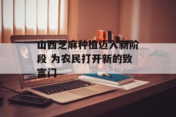 山西芝麻种植迈入新阶段 为农民打开新的致富门-第1张图片-