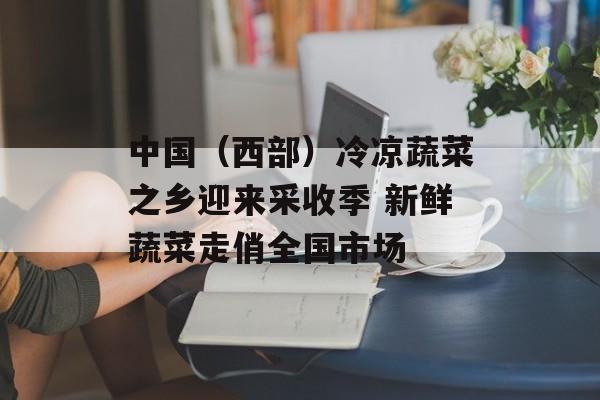 中国（西部）冷凉蔬菜之乡迎来采收季 新鲜蔬菜走俏全国市场-第1张图片-