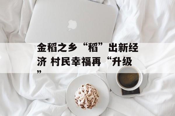 金稻之乡“稻”出新经济 村民幸福再“升级”-第1张图片-