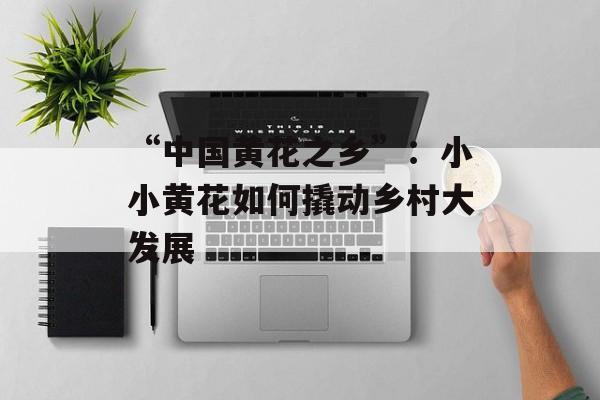 “中国黄花之乡”：小小黄花如何撬动乡村大发展-第1张图片-