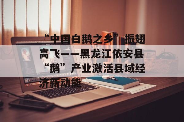 “中国白鹅之乡”振翅高飞——黑龙江依安县“鹅”产业激活县域经济新动能-第1张图片-