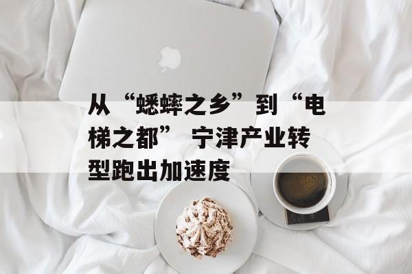 从“蟋蟀之乡”到“电梯之都” 宁津产业转型跑出加速度-第1张图片-