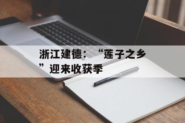 浙江建德：“莲子之乡”迎来收获季-第1张图片-