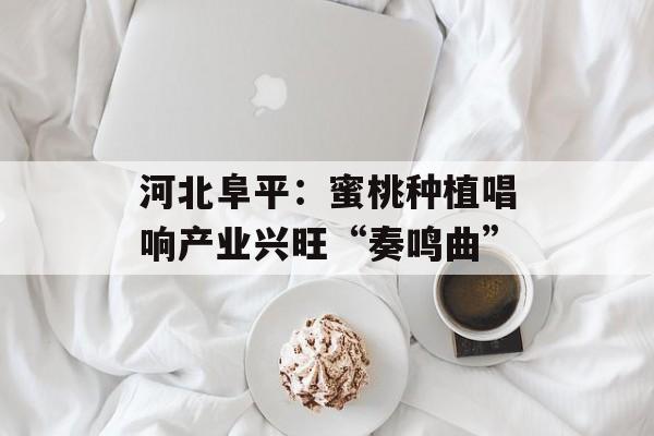河北阜平：蜜桃种植唱响产业兴旺“奏鸣曲”-第1张图片-