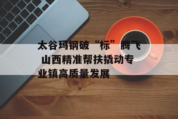 太谷玛钢破“标”腾飞 山西精准帮扶撬动专业镇高质量发展-第1张图片-