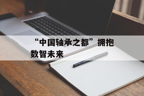 “中国轴承之都”拥抱数智未来-第1张图片-