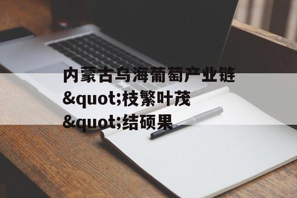 内蒙古乌海葡萄产业链"枝繁叶茂"结硕果-第1张图片-