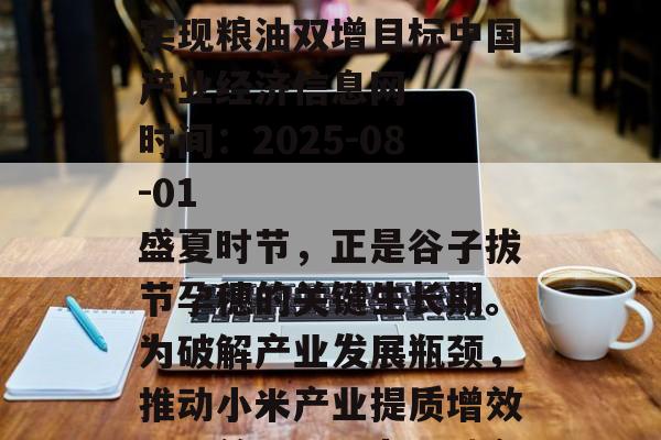 山西垣曲“谷油轮作”实现粮油双增目标中国产业经济信息网   时间：2025-08-01     　　盛夏时节，正是谷子拔节孕穗的关键生长期。为破解产业发展瓶颈，推动小米产业提质增效，日前，山西省运城市-第1张图片-