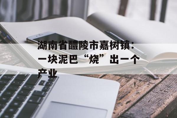 湖南省醴陵市嘉树镇：一块泥巴“烧”出一个产业-第1张图片-
