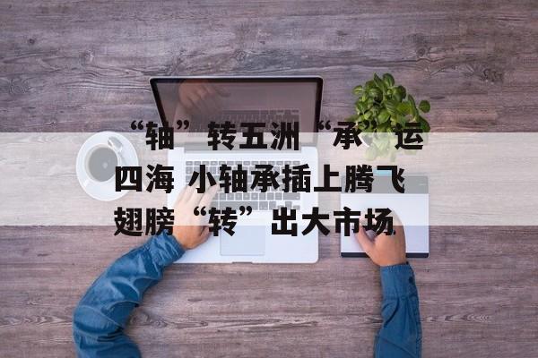“轴”转五洲“承”运四海 小轴承插上腾飞翅膀“转”出大市场-第1张图片-