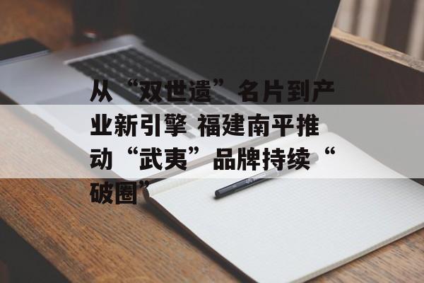 从“双世遗”名片到产业新引擎 福建南平推动“武夷”品牌持续“破圈”-第1张图片-