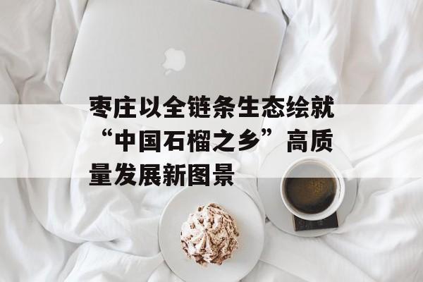 枣庄以全链条生态绘就“中国石榴之乡”高质量发展新图景-第1张图片-