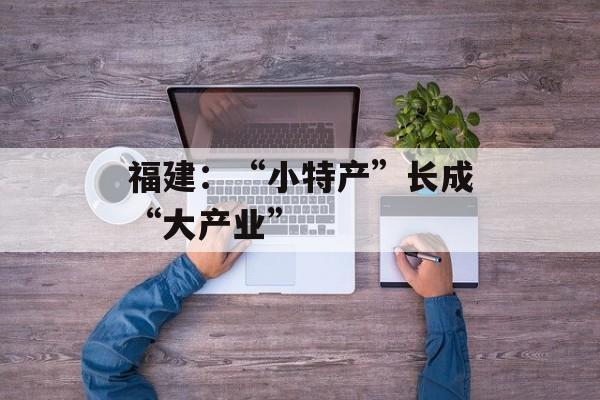 福建：“小特产”长成“大产业”-第1张图片-