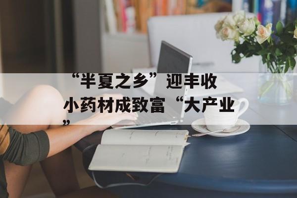 “半夏之乡”迎丰收 小药材成致富“大产业”-第1张图片-