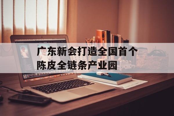 广东新会打造全国首个陈皮全链条产业园-第1张图片-