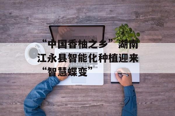“中国香柚之乡”湖南江永县智能化种植迎来“智慧蝶变”-第1张图片- “中国香柚之乡”湖南江永县智能化种植迎来“智慧蝶变”-第1张图片-