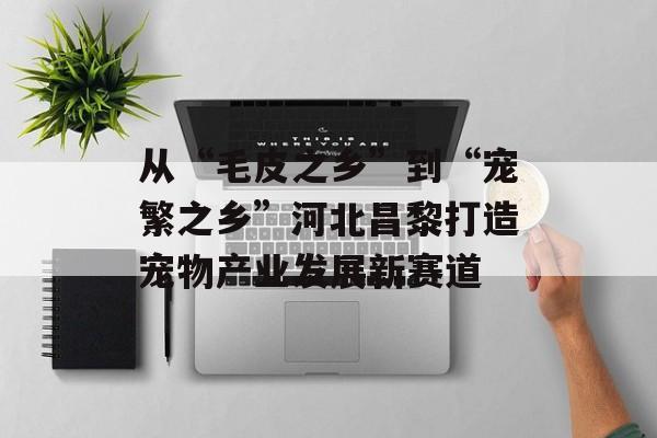 从“毛皮之乡”到“宠繁之乡”河北昌黎打造宠物产业发展新赛道-第1张图片- 从“毛皮之乡”到“宠繁之乡”河北昌黎打造宠物产业发展新赛道-第1张图片-